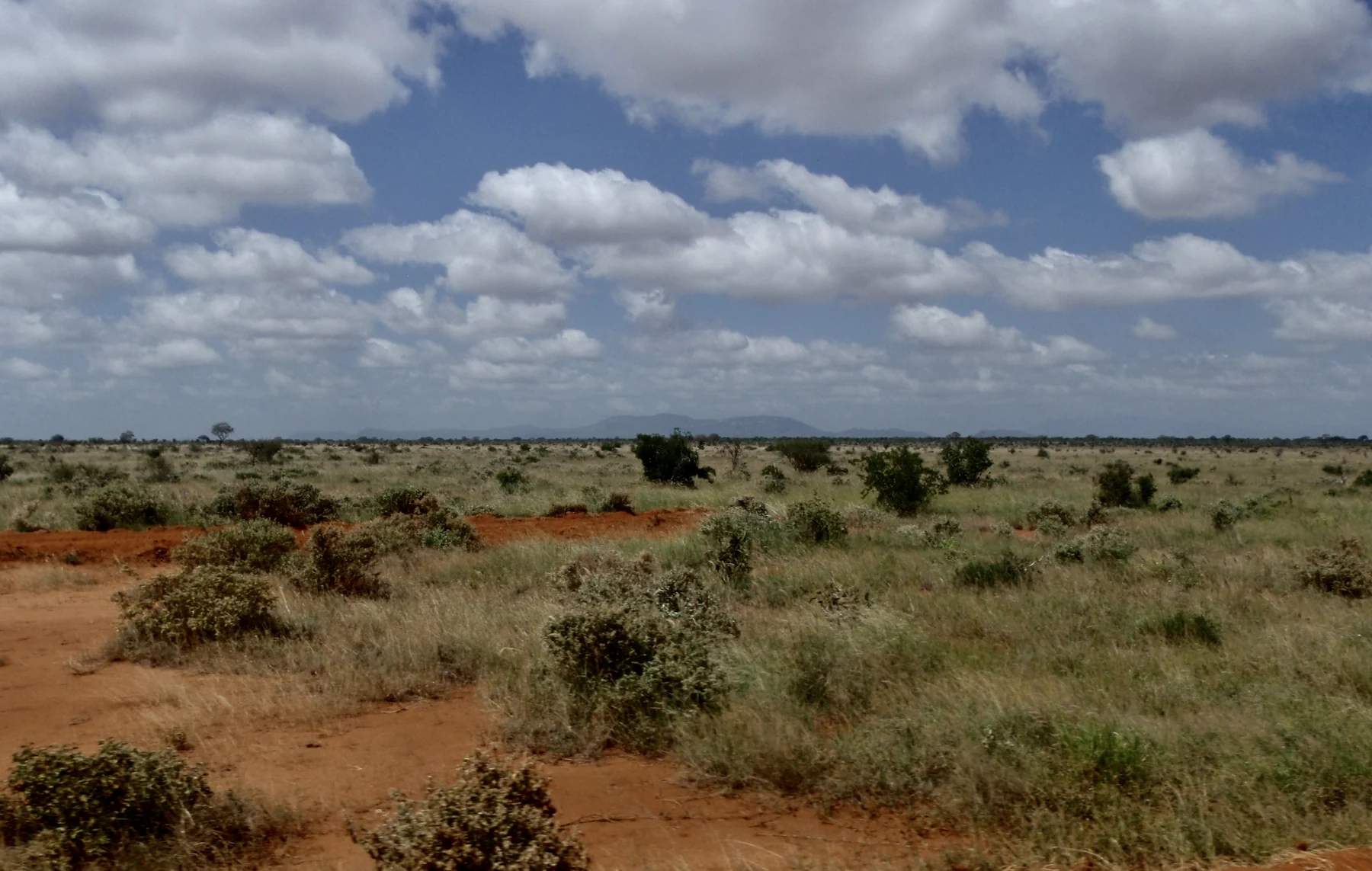 Red earth and open scrub under a broad sky in Tsavo East